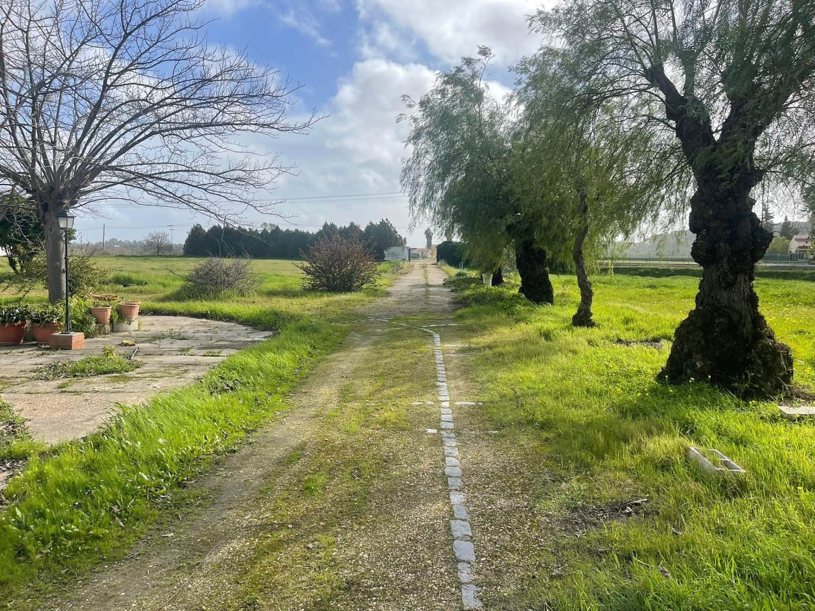 7 soverom Finca/Herregård til salgs i Gibraleon med svømmebasseng - € 334 990 (Ref: 9569163)