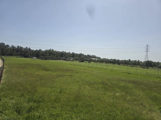 Grond te koop in Gibraleón - € 40.000 (Ref: 9569167)