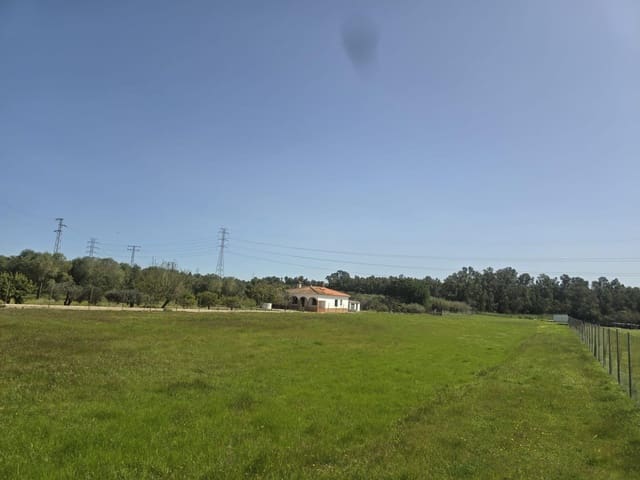 Grond te koop in Gibraleón - € 40.000 (Ref: 9569167)