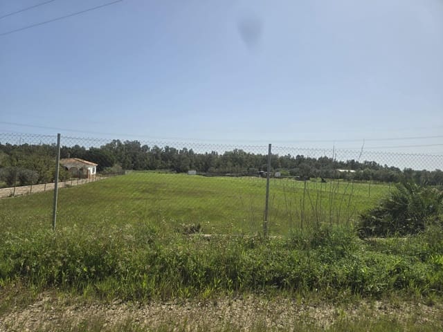 Grond te koop in Gibraleón - € 40.000 (Ref: 9569167)