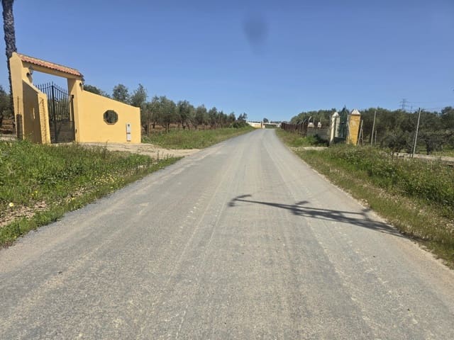 Grond te koop in Gibraleón - € 40.000 (Ref: 9569167)