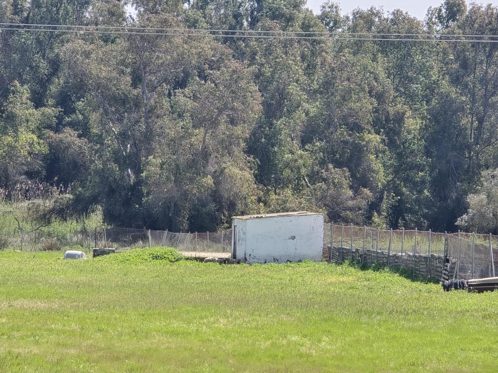 Grond te koop in Gibraleon - € 40.000 (Ref: 9569167)