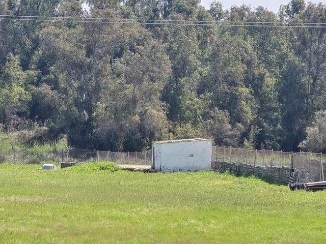 Grond te koop in Gibraleón - € 40.000 (Ref: 9569167)