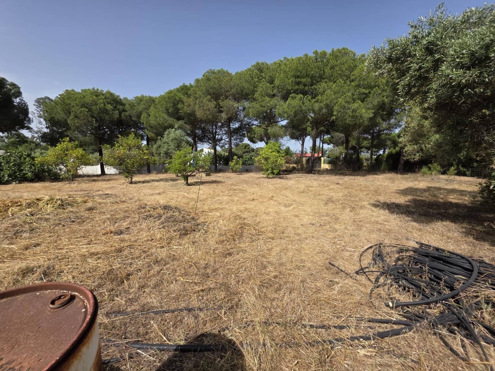 3 slaapkamer Finca/Landhuis te koop in Beas met zwembad - € 190.000 (Ref: 9569171)