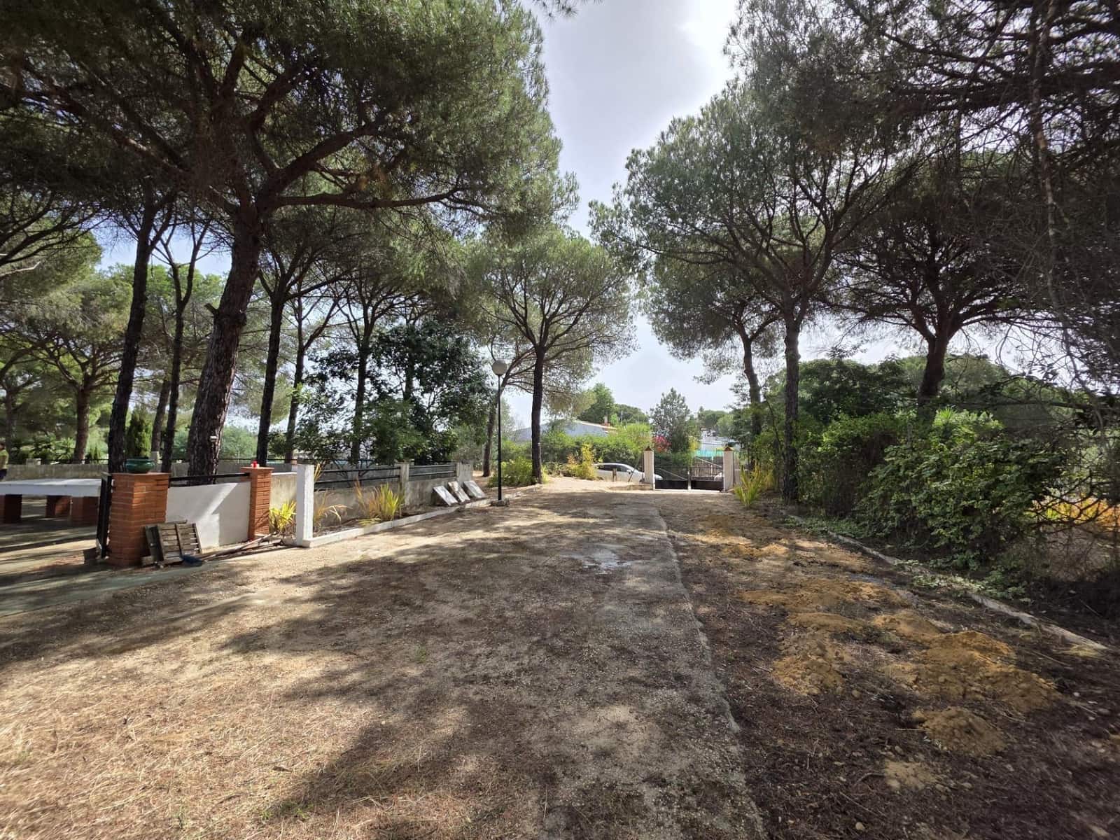 3 slaapkamer Finca/Landhuis te koop in Beas met zwembad - € 190.000 (Ref: 9569171)