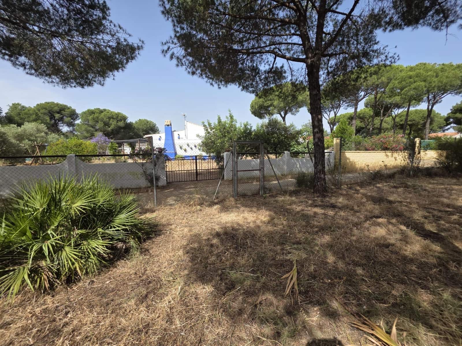 3 slaapkamer Finca/Landhuis te koop in Beas met zwembad - € 190.000 (Ref: 9569171)