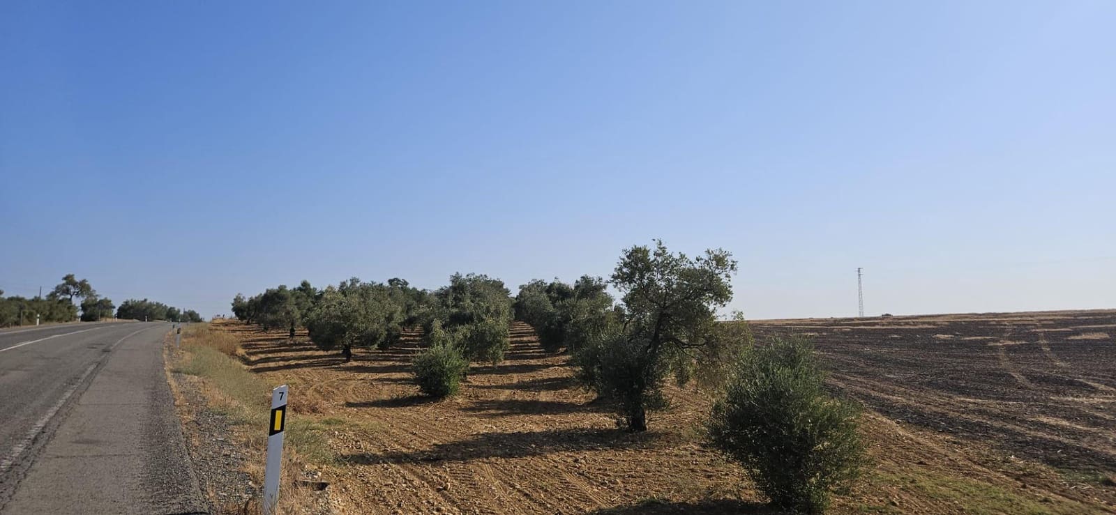 Grond te koop in Gibraleon - € 18.990 (Ref: 9569176)