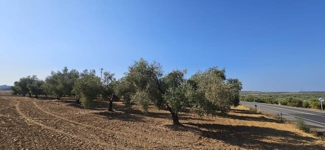 Grond te koop in Gibraleón - € 18.990 (Ref: 9569176)