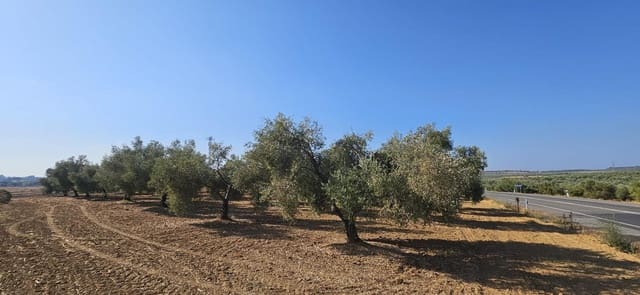 Grond te koop in Gibraleón - € 18.990 (Ref: 9569176)