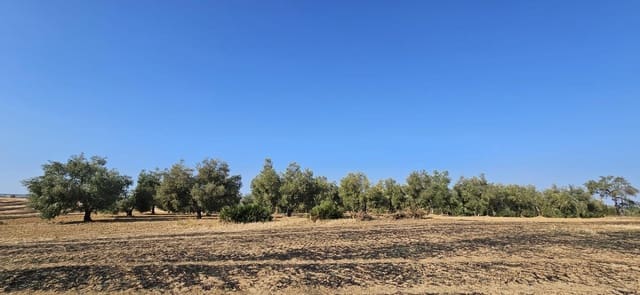 Grond te koop in Gibraleón - € 18.990 (Ref: 9569176)