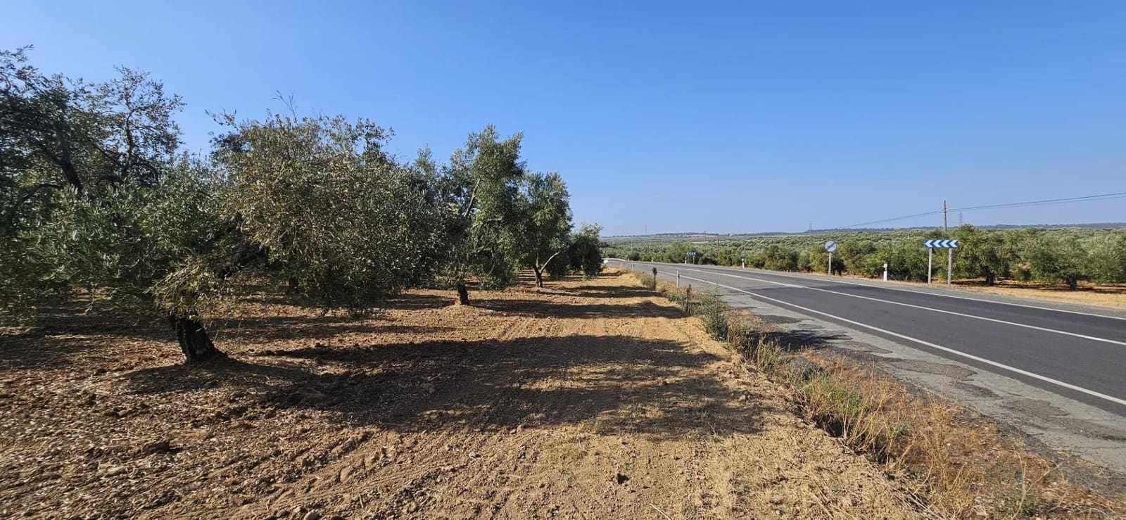 Grond te koop in Gibraleon - € 18.990 (Ref: 9569176)