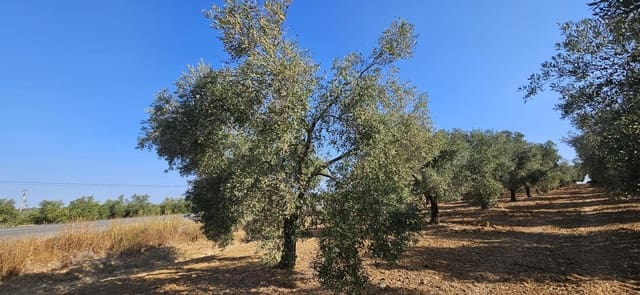 Grond te koop in Gibraleón - € 18.990 (Ref: 9569176)