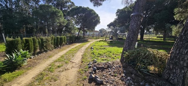 4 slaapkamer Finca/Landhuis te koop in Gibraleón - € 258.990 (Ref: 9569189)