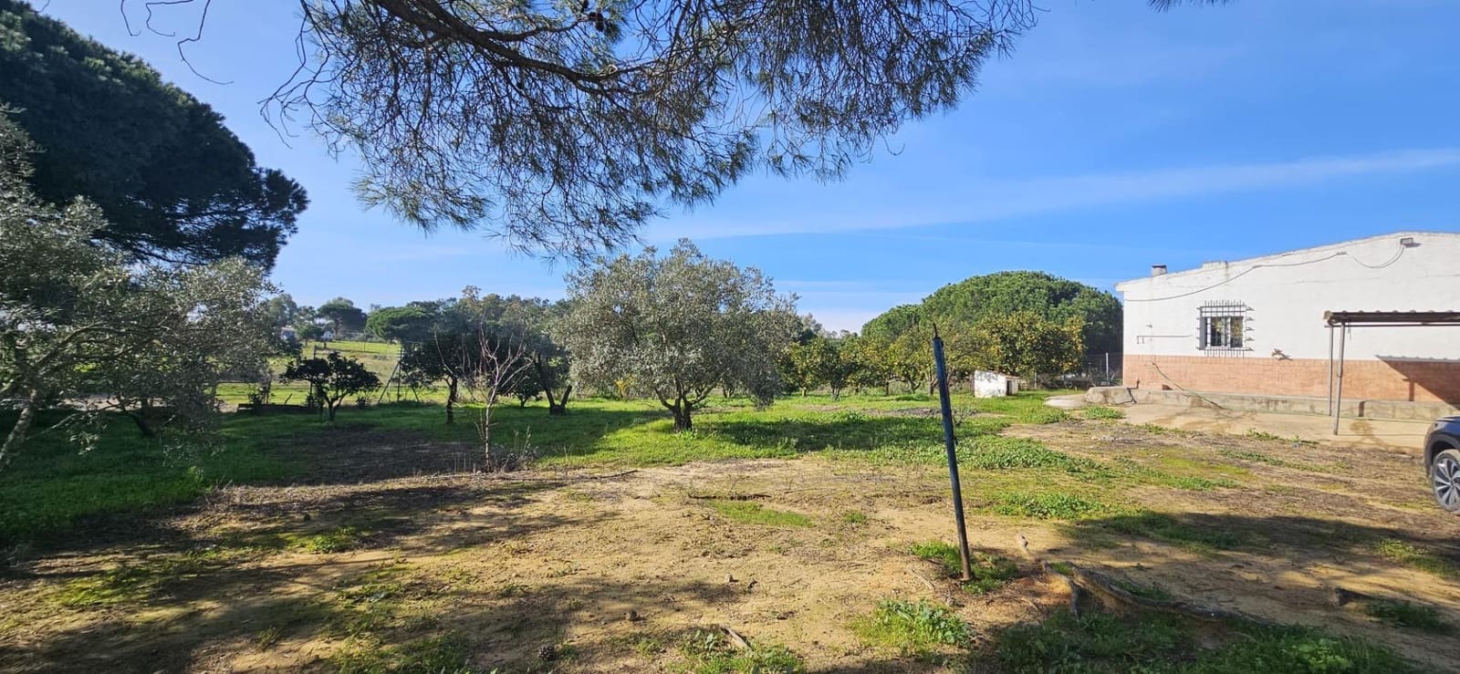 4 slaapkamer Finca/Landhuis te koop in Gibraleon - € 258.990 (Ref: 9569189)