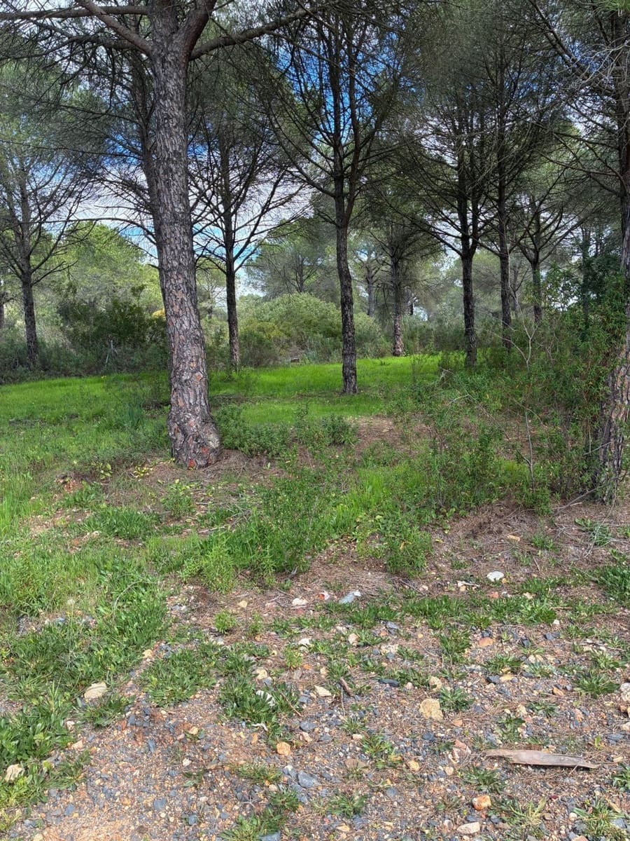 Solar/Parcela en Aljaraque en venta - 65.000 € (Ref: 9674162)