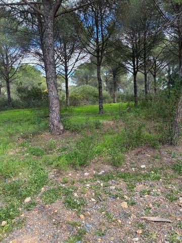 Solar/Parcela en Aljaraque en venta - 65.000 € (Ref: 9674162)