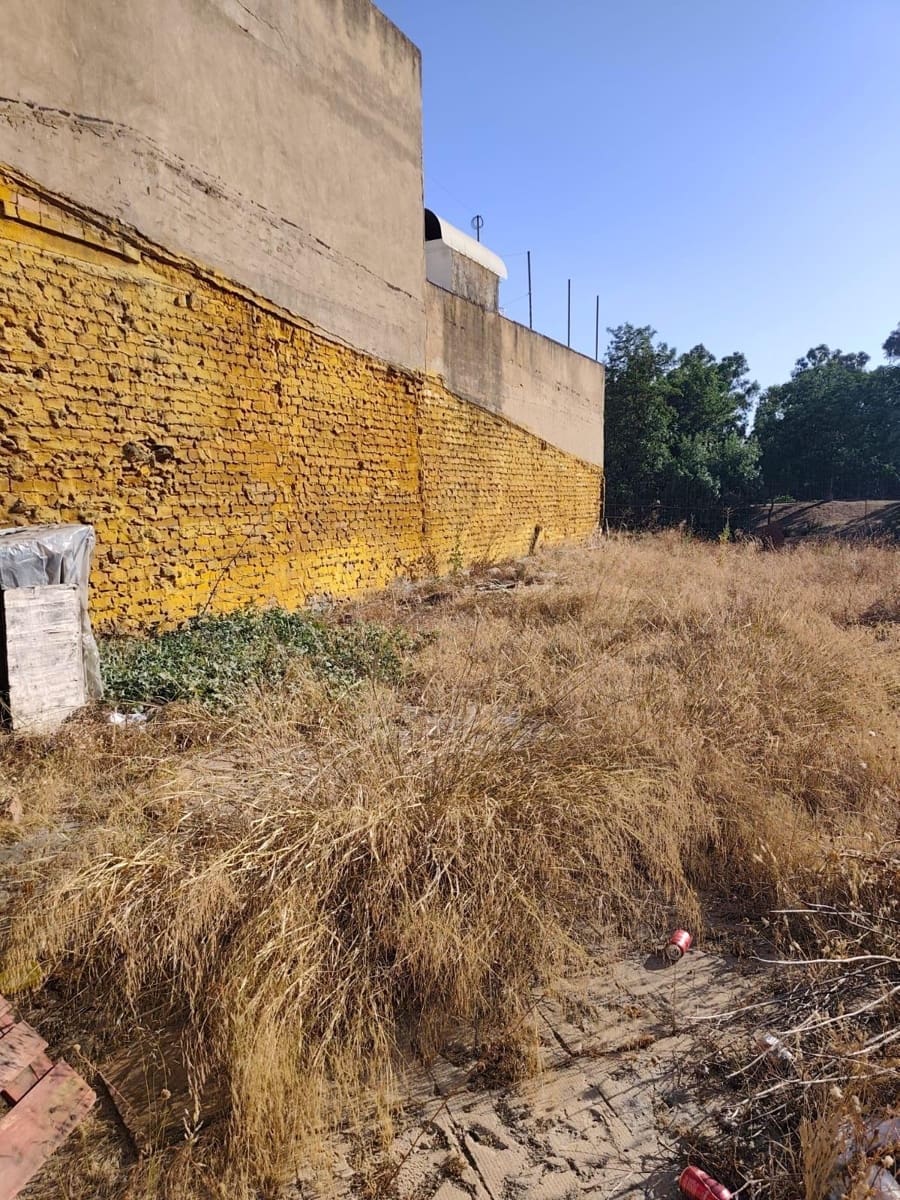 Działka budowlana na sprzedaż w Gibraleon - 124 990 € (Ref: 9794561)