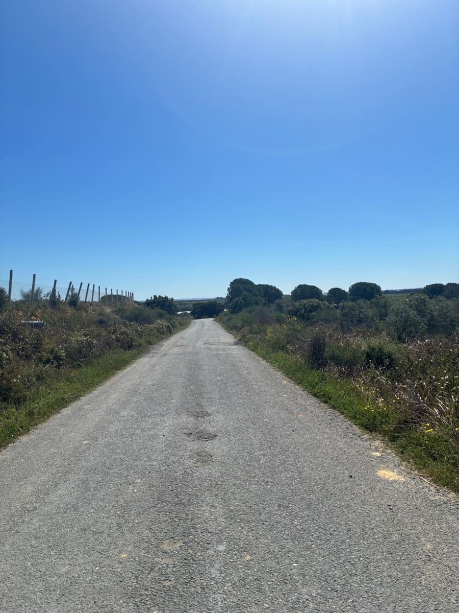 Undeveloped Land for sale in Gibraleon - € 250,000 (Ref: 9811527)