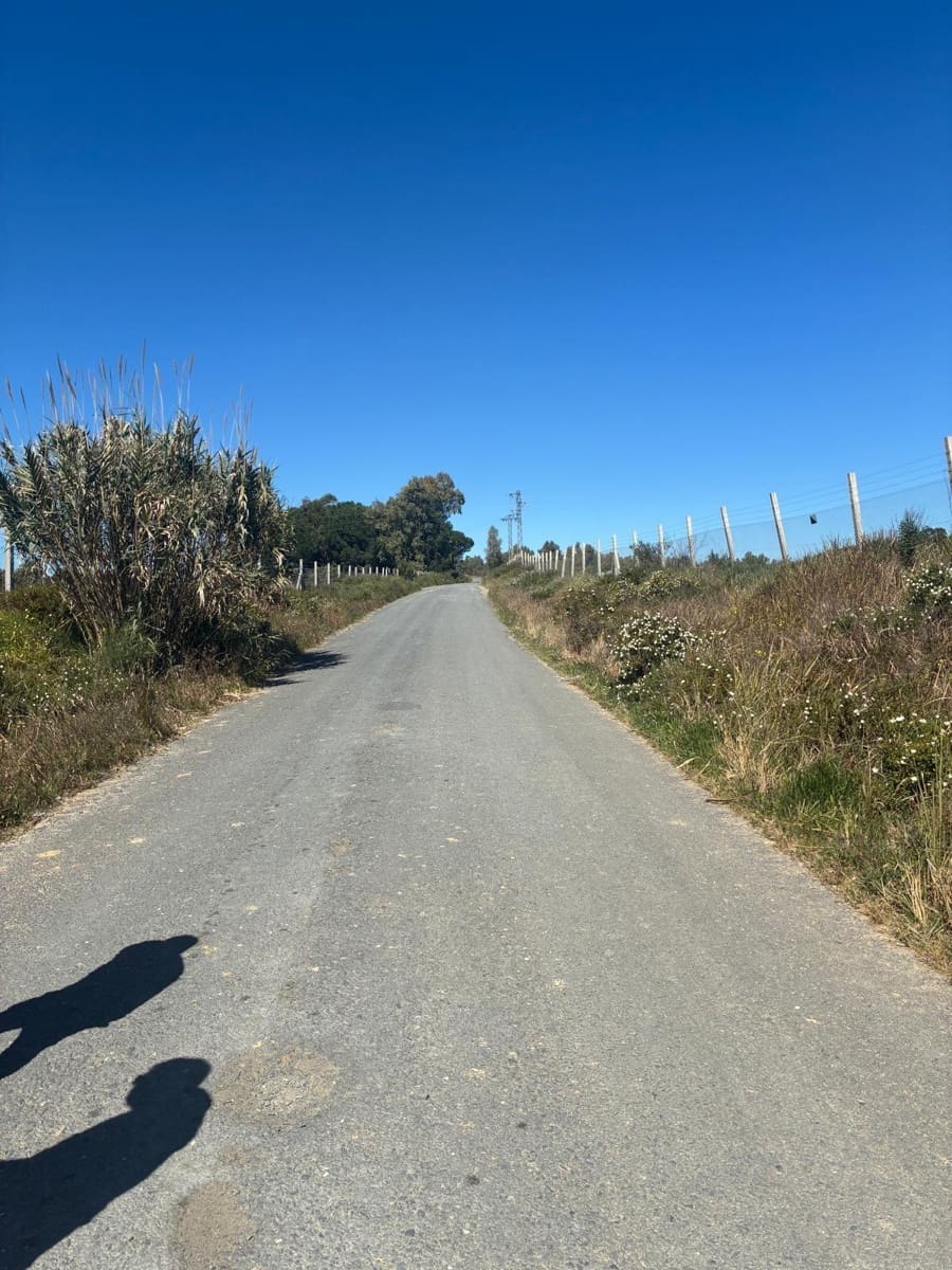 Undeveloped Land for sale in Gibraleon - € 250,000 (Ref: 9811527)