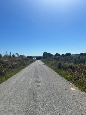 Undeveloped Land for sale in Gibraleón - € 250,000 (Ref: 9811527)