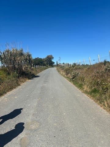 Undeveloped Land for sale in Gibraleón - € 250,000 (Ref: 9811527)