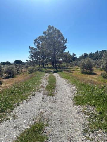 Undeveloped Land for sale in Gibraleón - € 250,000 (Ref: 9811527)