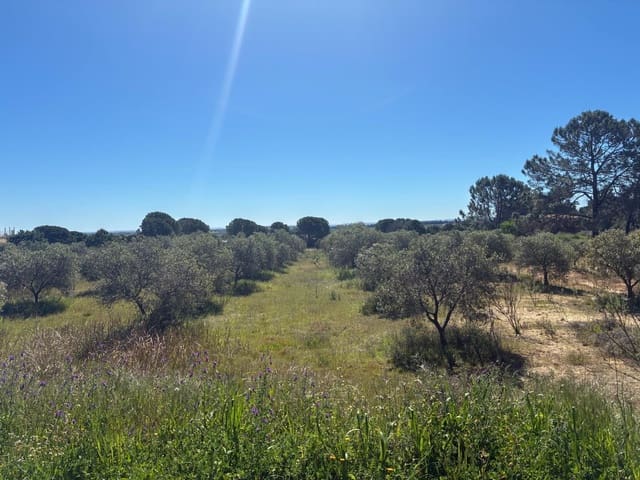 Undeveloped Land for sale in Gibraleón - € 250,000 (Ref: 9811527)