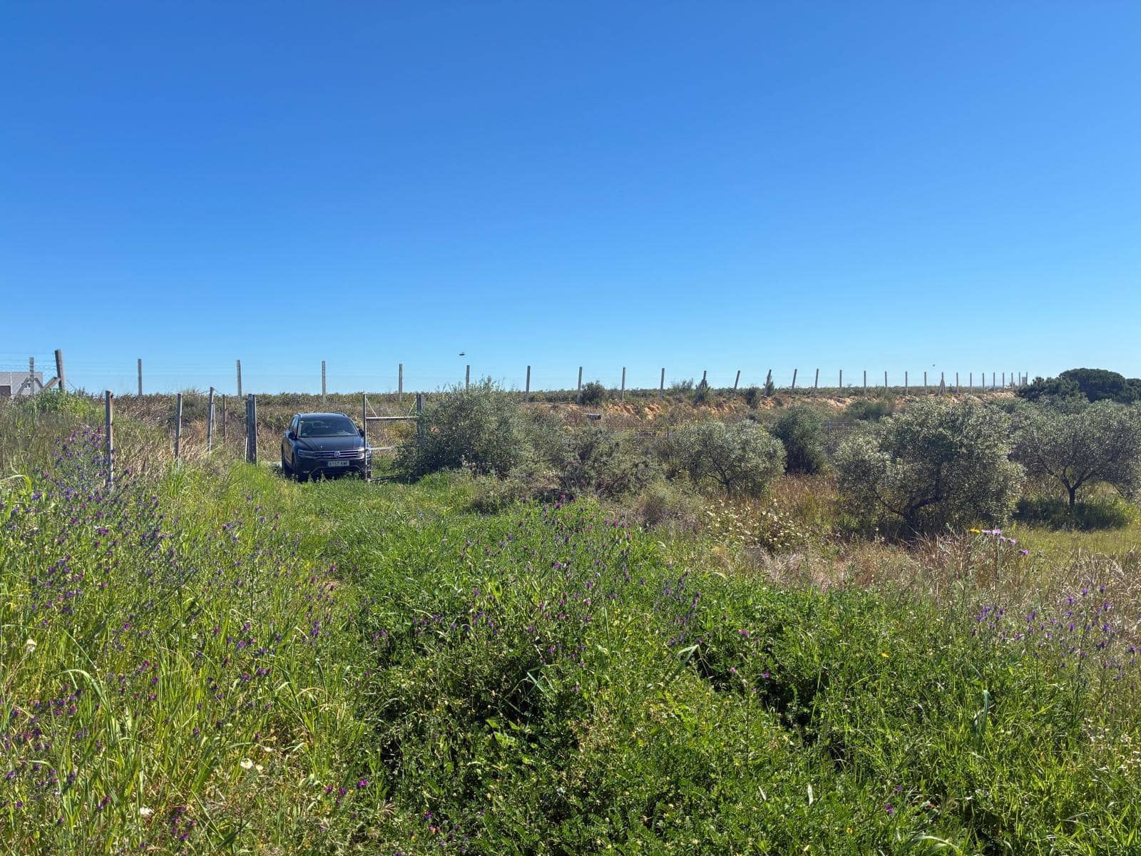 Undeveloped Land for sale in Gibraleon - € 250,000 (Ref: 9811527)