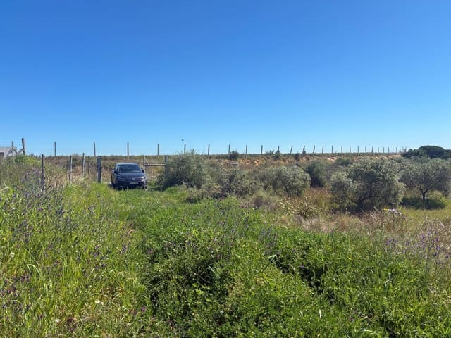 Undeveloped Land for sale in Gibraleón - € 250,000 (Ref: 9811527)