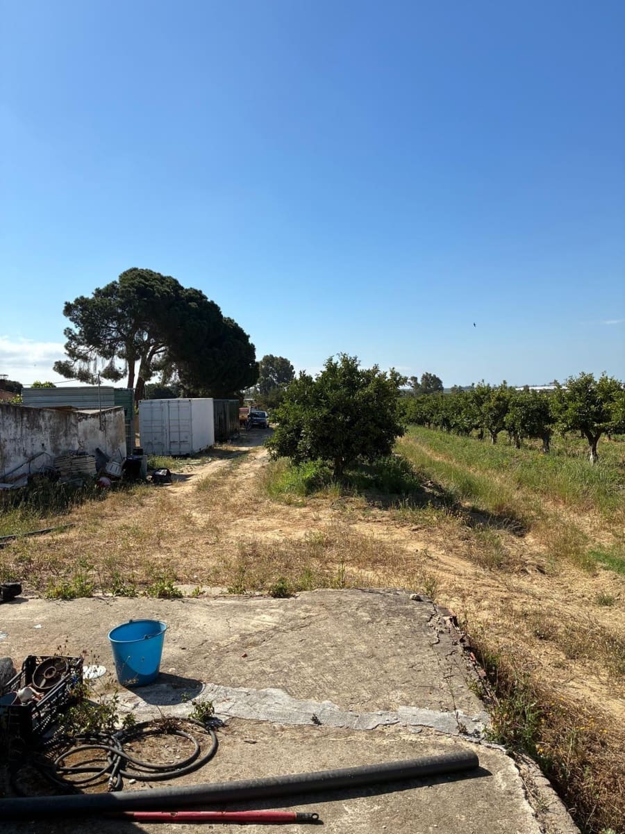 Undeveloped Land for sale in Gibraleon - € 260,000 (Ref: 9825214)