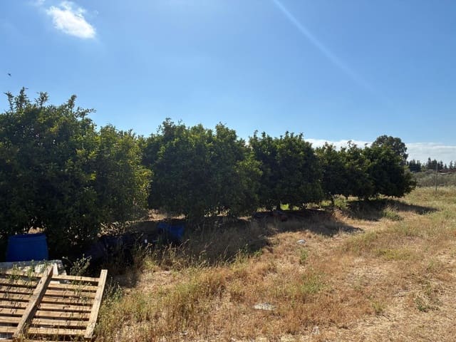 Terreno Non Edificato in vendita in Gibraleón - 260.000 € (Rif: 9825214)