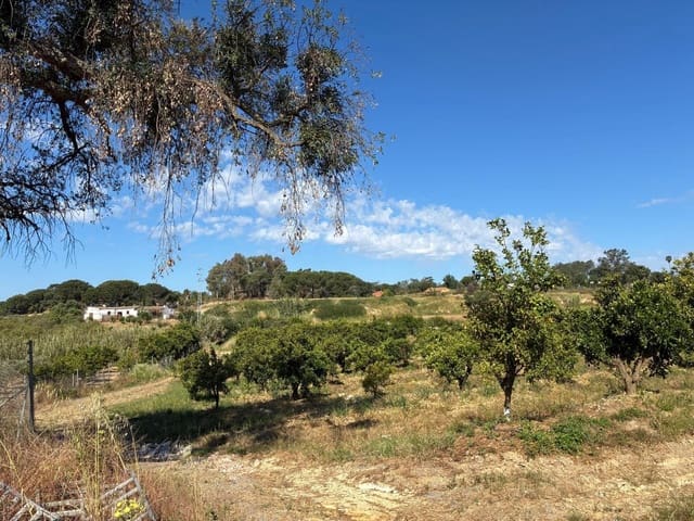 Terreno Non Edificato in vendita in Gibraleón - 260.000 € (Rif: 9825214)