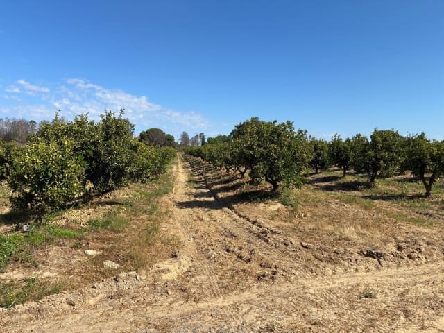 Terreno Non Edificato in vendita in Gibraleón - 260.000 € (Rif: 9825214)