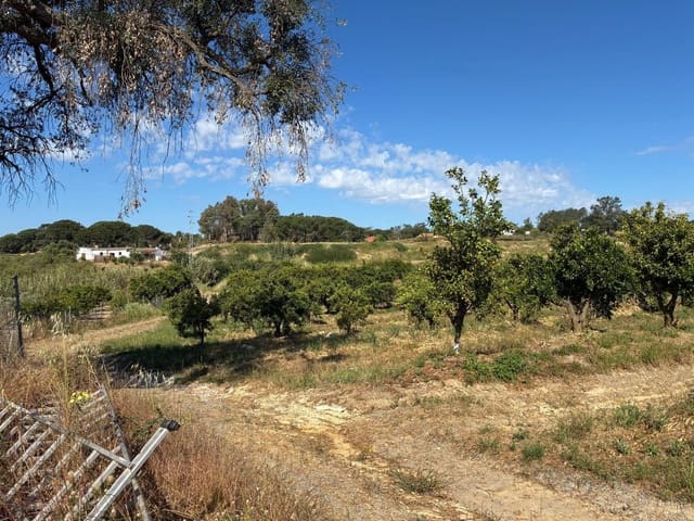 Terreno Non Edificato in vendita in Gibraleón - 260.000 € (Rif: 9825214)