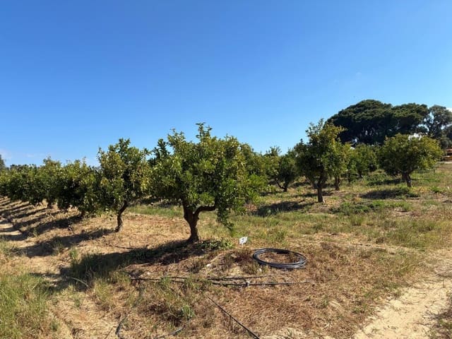 Terreno Non Edificato in vendita in Gibraleón - 260.000 € (Rif: 9825214)