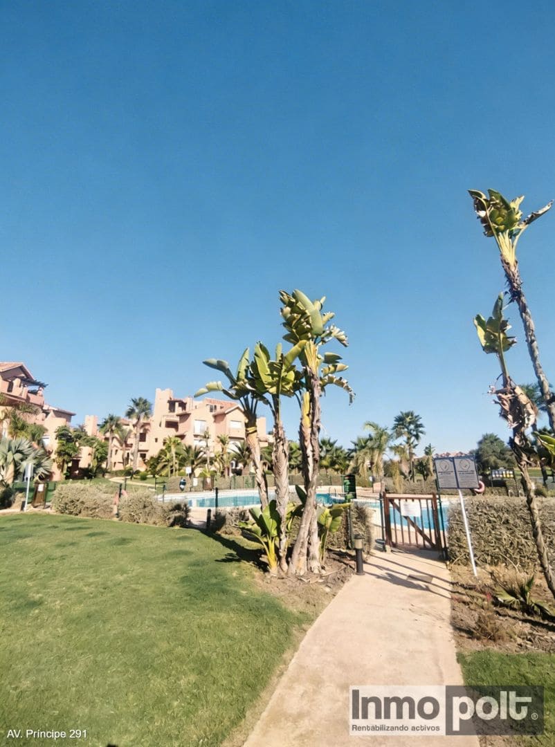 1 bedroom Flat for rent in Torre-Pacheco with pool - € 690 (Ref: 9691546)