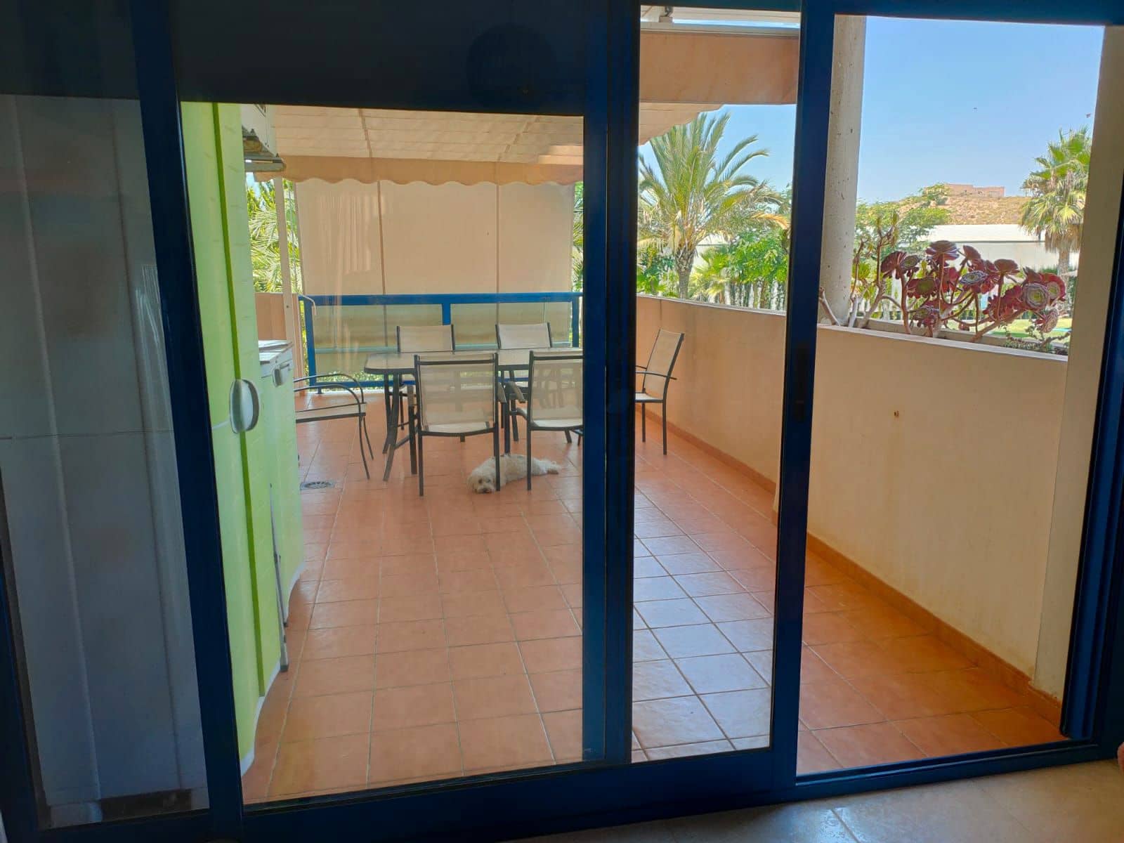 2 bedroom Flat for rent in Cartagena with pool - € 650 (Ref: 9691551)