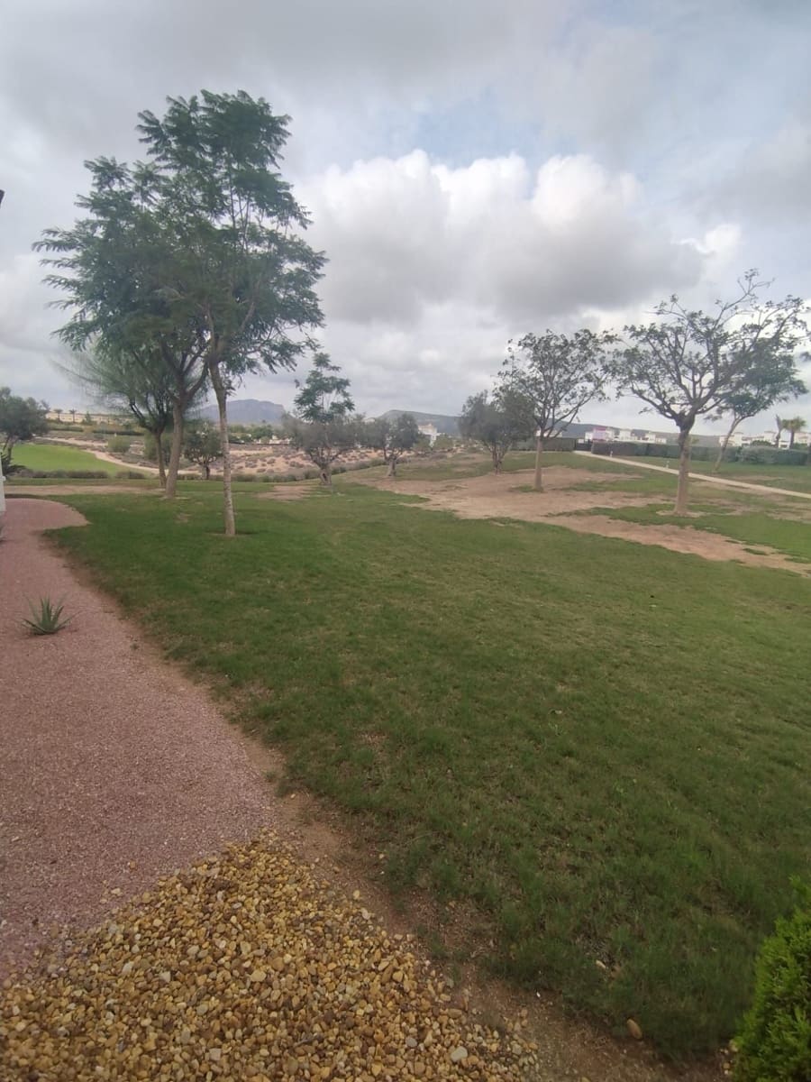 2 bedroom Flat for rent in Sucina with pool garage - € 650 (Ref: 9691554)