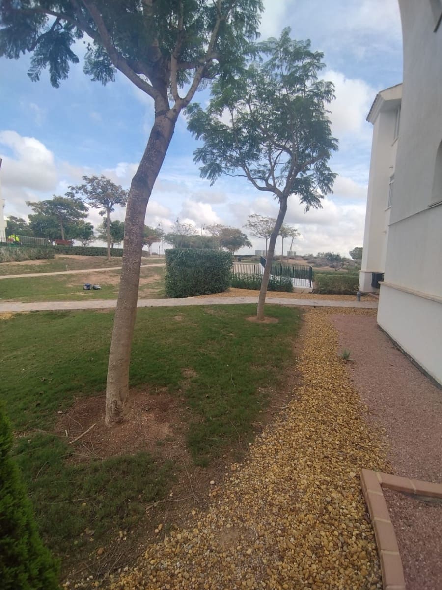 2 bedroom Flat for rent in Sucina with pool garage - € 650 (Ref: 9691554)