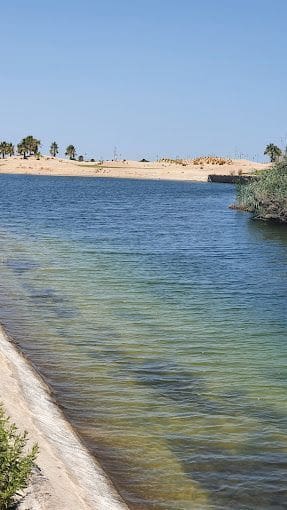 2 bedroom Penthouse for rent in Torre-Pacheco with pool - € 650 (Ref: 9691558)