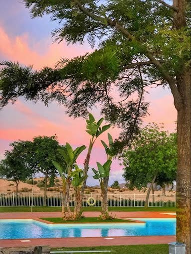 2 bedroom Penthouse for rent in Torre-Pacheco with pool - € 650 (Ref: 9691558)