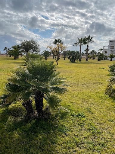 2 bedroom Penthouse for rent in Torre-Pacheco with pool - € 650 (Ref: 9691558)