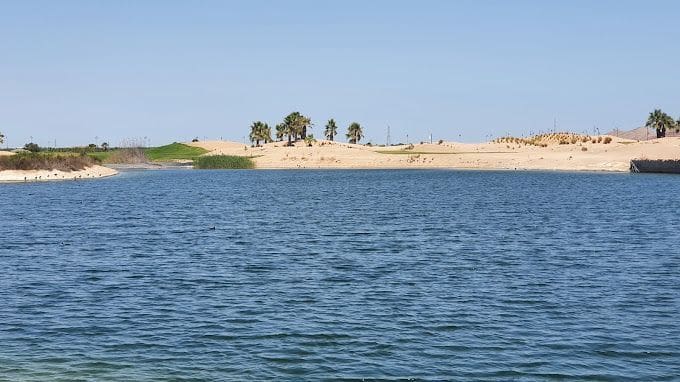 2 bedroom Penthouse for rent in Torre-Pacheco with pool - € 650 (Ref: 9691558)