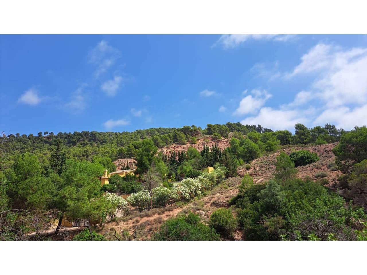 Finca/Casa Rural de 5 habitaciones en Alhama de Murcia en venta - 320.000 € (Ref: 9911383)