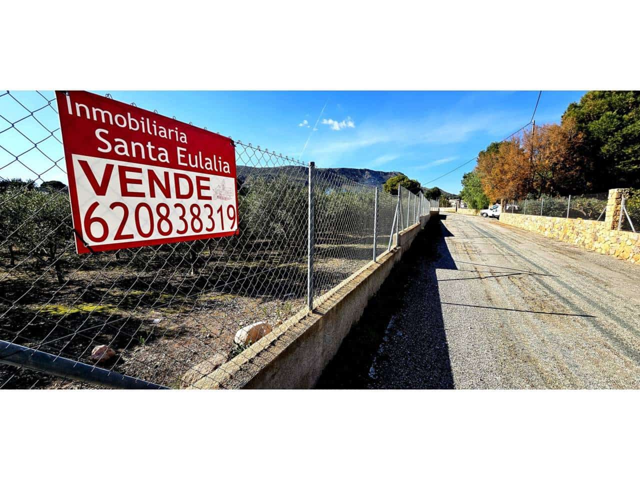 Terre non Aménagée à vendre à Totana - 70 000 € (Ref: 9919100)