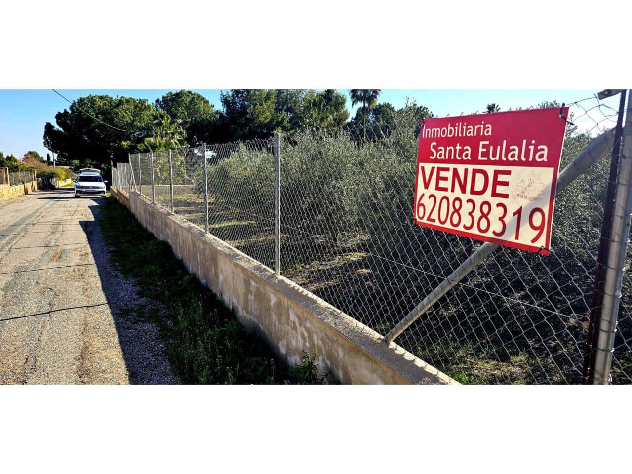 Terre non Aménagée à vendre à Totana - 70 000 € (Ref: 9919100)