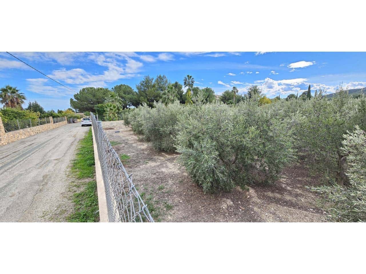 Terre non Aménagée à vendre à Totana - 70 000 € (Ref: 9919100)