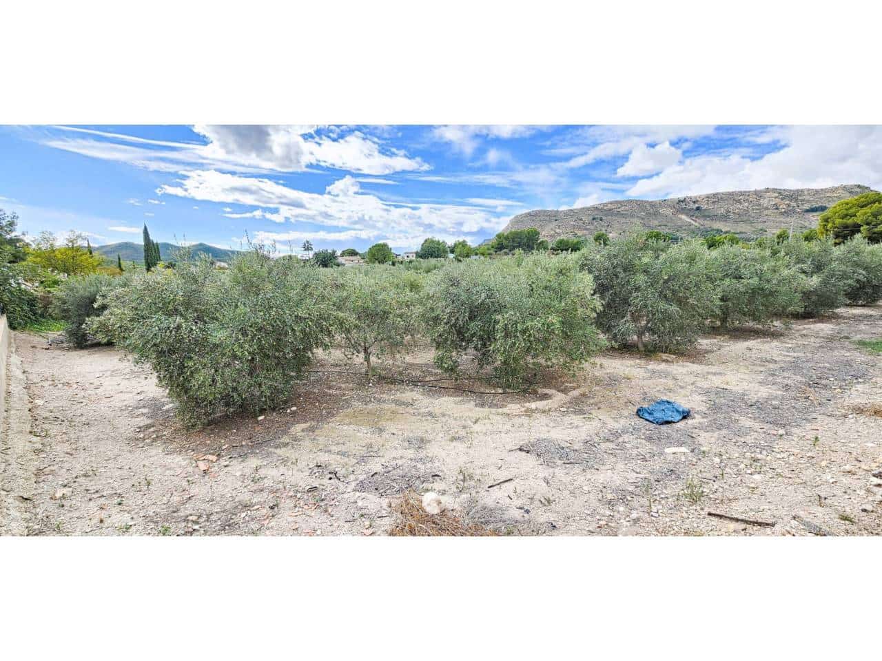 Terre non Aménagée à vendre à Totana - 70 000 € (Ref: 9919100)