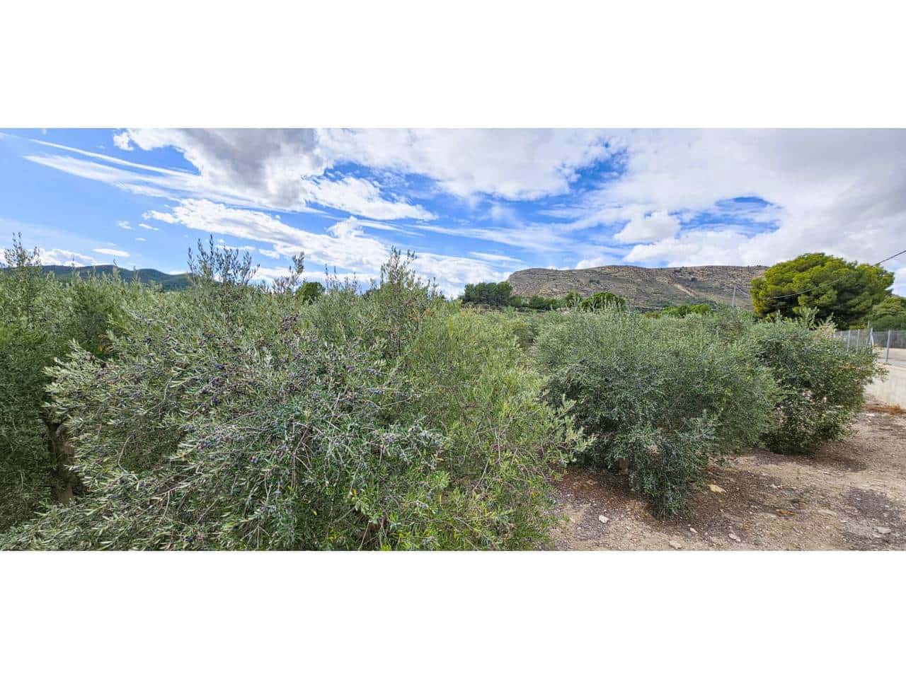 Terre non Aménagée à vendre à Totana - 70 000 € (Ref: 9919100)