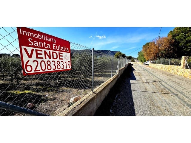 Terre non Aménagée à vendre à Totana - 70 000 € (Ref: 9919100)